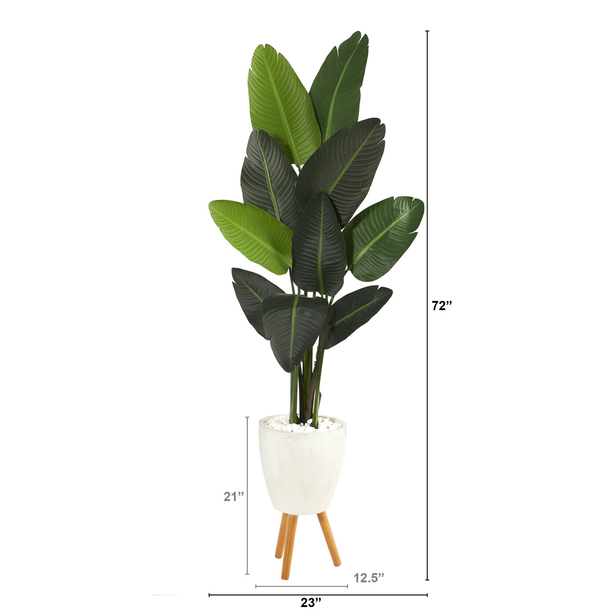 6ft. Travelers Palm Tree in White Planter with Stand